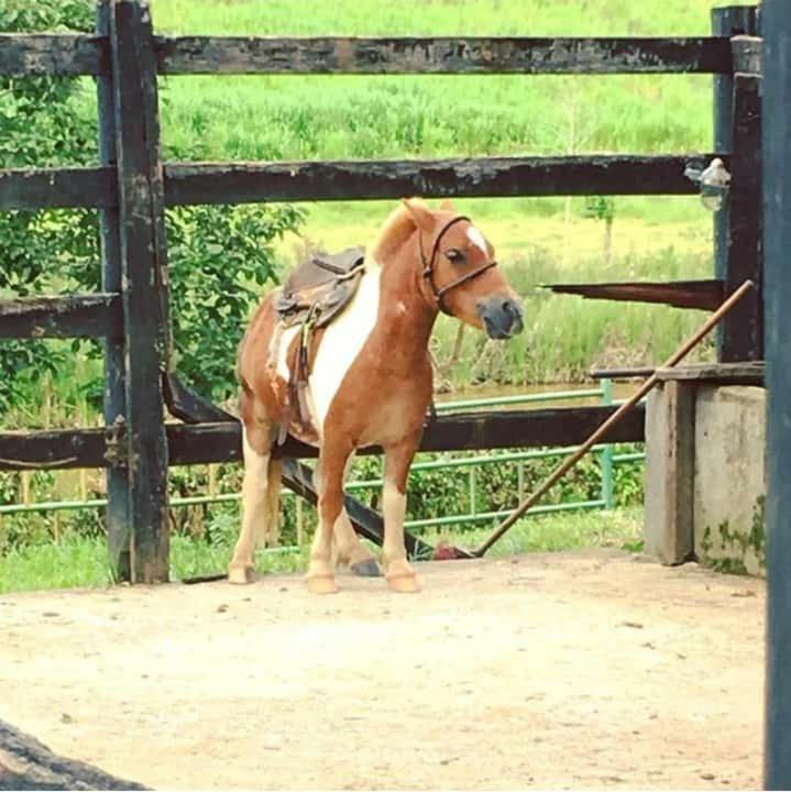 Hotel Fazenda Tucano Capim Branco Dış mekan fotoğraf