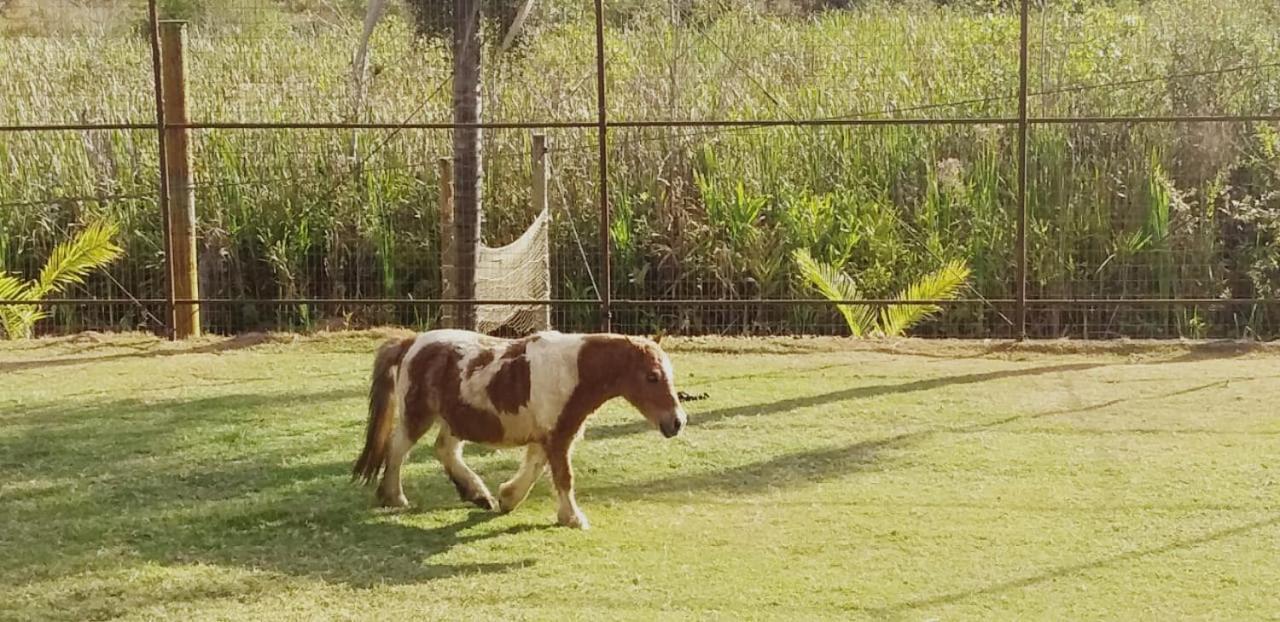 Hotel Fazenda Tucano Capim Branco Dış mekan fotoğraf