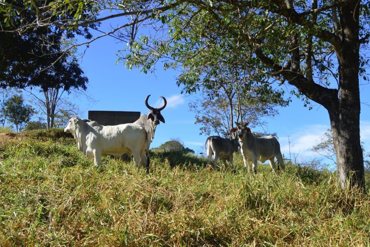 Hotel Fazenda Tucano Capim Branco Dış mekan fotoğraf